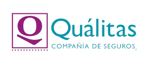 underwriter Qualitas